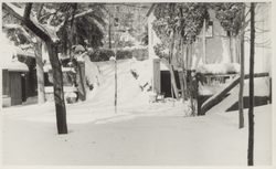 El pati del Jardí durant la gran nevada de 1962