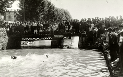 Competició de natació