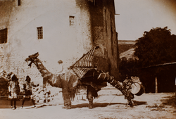 Imatgeria del Castell de Santa Florentina